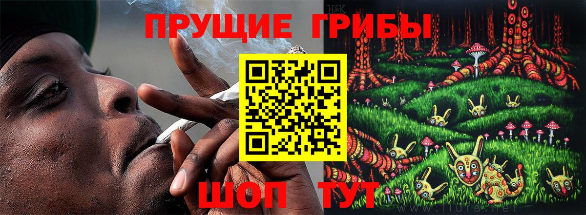 Тольятти  Галлюциногенные грибы MAGIC MUSHROOMS  Вход с VPN 